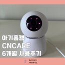 [내돈내산] 아기홈켐 씨엔케어(CNCARE) 6개월 사용 솔직 후기