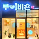 루이비숀 네이버블로그