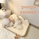 코코펫 | 강아지 슬개골 걱정없는 코코리에또펫 강아지침대 직접 사용해 본 후기