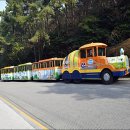 다누비 열차 이미지