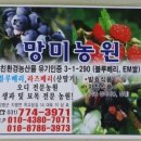 망미농원 이미지