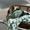 강변자전거길(남) | 파리 근교 _ 자전거타고 지베르니 모네의 집 가기 🚲💐