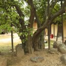 탱자한의원 이미지