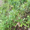 이산농장 이미지