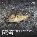 GS25 태안학암포점 | 학암포항 갯바위 워킹 낚시
