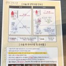 강남썬약국 | 시력 교정술 (라섹) 후기 – 고민은 길었지만 결과는 만족! - 강남ㅂㄹㄷ안과