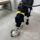 로이병원 이미지