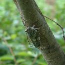 맴맴 - 광산구 임방울대로826번길 19-20 | 맴맴