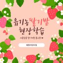 도영 농장 이미지