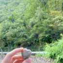 동승춘