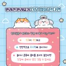 고양이 하루 이미지