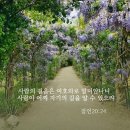 (주)잠언코리아 | 잠언 20:15-30 묵상노트 & 다니엘기도회 감동후기