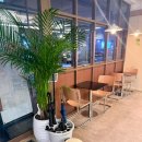 짱인형 SHOP | [천안 카페] 천안 버터떡 파는곳, 두쫀쿠와 플러피 디저트샵(Fluffy Dessert Shop)