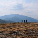 다무락마을 쉼터 이미지