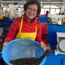 민락-101 이미지