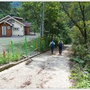 곰바우농장 이미지