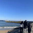 나곡바다낚시공원 | 🎣🌊 아이들과 강원도 여행 대성공! 장사항바다낚시체험공원 방문 후기 🌊🎣