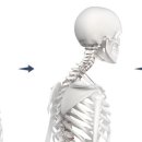 조원동-9 이미지