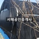 미르채공인중개사사무소 이미지