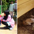 원광대학교 보건·보완의학대학원 이미지