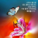 해피운동화세탁 이미지