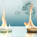 주식회사 드림바이오 이미지