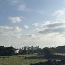 슬로우어스제주 | [2025 제주] Day 3-4: 특별한 걸 하지 않아도 좋은 슬로우 트립 인 제주