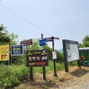 여강길(3코스 바위늪구비길) | 여강길 3코스 바위늪구비