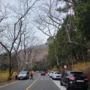 백일아침고요산길 | 진해 트레킹 명소, 드림로드 1구간 장복하늘마루길