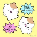 안성연세의원 이미지