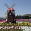 주막 옆 화장실 | [경북여행] 예천 삼강문화단지 생태공원 강문화전시관 , 카페, 캠핑장, 삼강주막