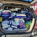 20-56 <b>쁘띠</b><b>엘린</b> 사료 후원 임시자료