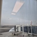 로즈마리민박 | 제주 서쪽 한경면 조용한 숙소 한원소담 솔직후기