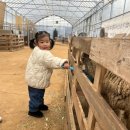 농장 | 겨울엔 키카 대신 체험농장!! :: 포레스트벨 체험농장 후기!