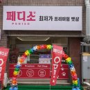 페디소 네이버블로그