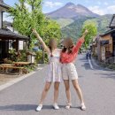 설이네상점 | 후쿠오카출발 유후인 벳부 히타 일일 당일 버스투어 추천후기