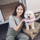 너는 내 댕댕 이미지