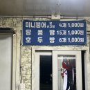 월드붕어