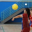 청춘체육관 이미지