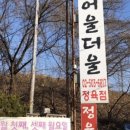 유달정육