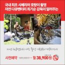 자연 다큐멘터리 감독 최기순의 사진 촬영 기획부터 마무리까지 이미지