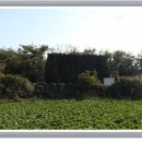 소마로연대 이미지