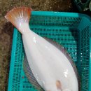 미라쥬타워 이미지