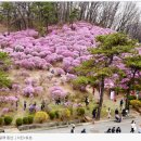 (주)효성안양공장 - 4908 | (주)효성안양공장