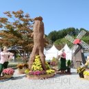 진안홍삼 이미지