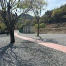 하동 도둑골캠핑장 신규12번 사이트추천