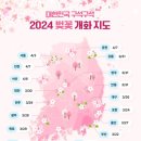 당현천 벚꽃음악회 이미지