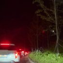 피나클랜드 | 아산 피나클랜드 불꽃축제 솔직후기(준비물, 주차, 집갈 때 꿀팁)