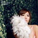 포툰스튜디오