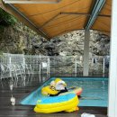 우두리 포펫 애견펜션 이미지